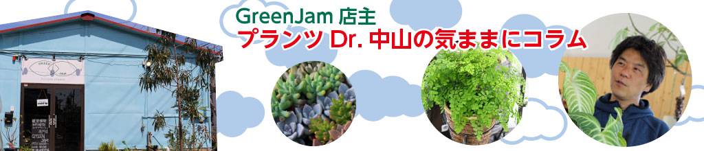 GreenJam店主プランツドクター中山の気ままにコラム