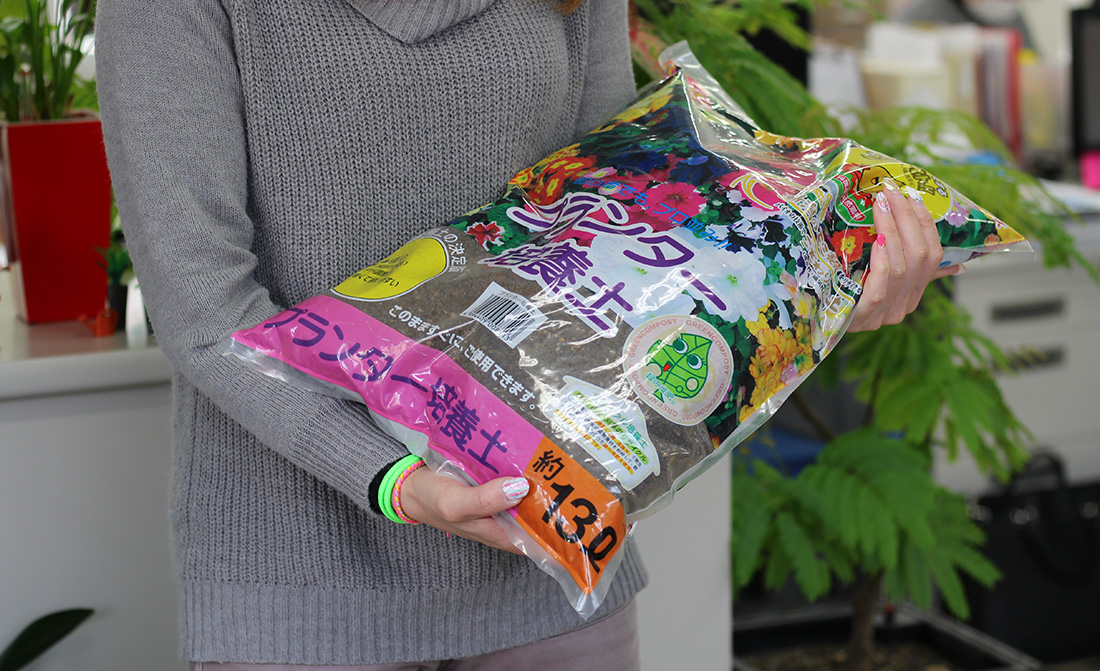 Vol 19 鉢と用土は重要か 2本立て