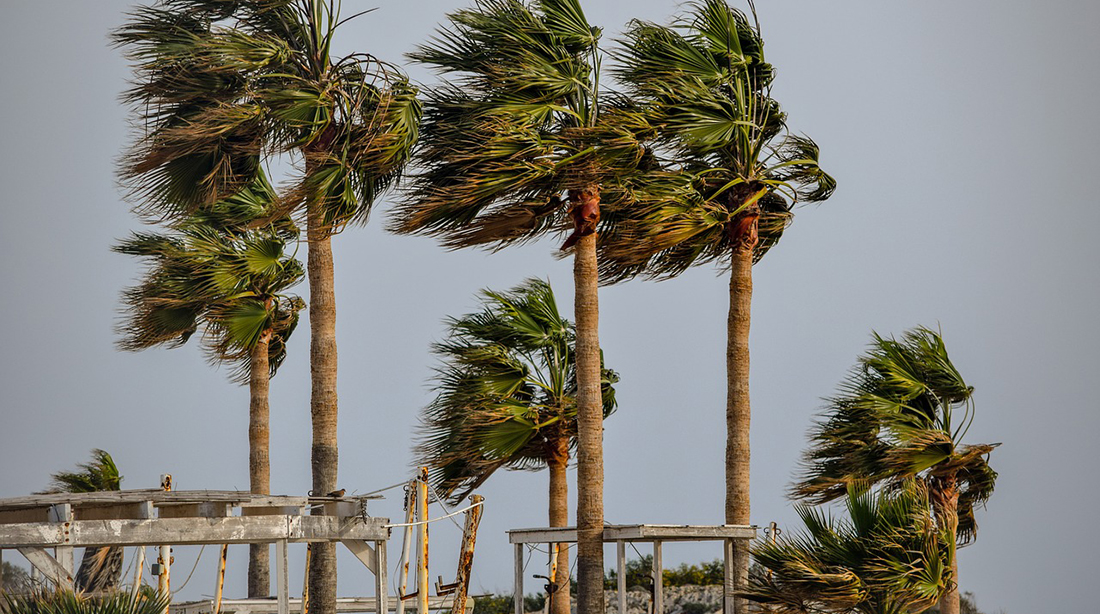 台風