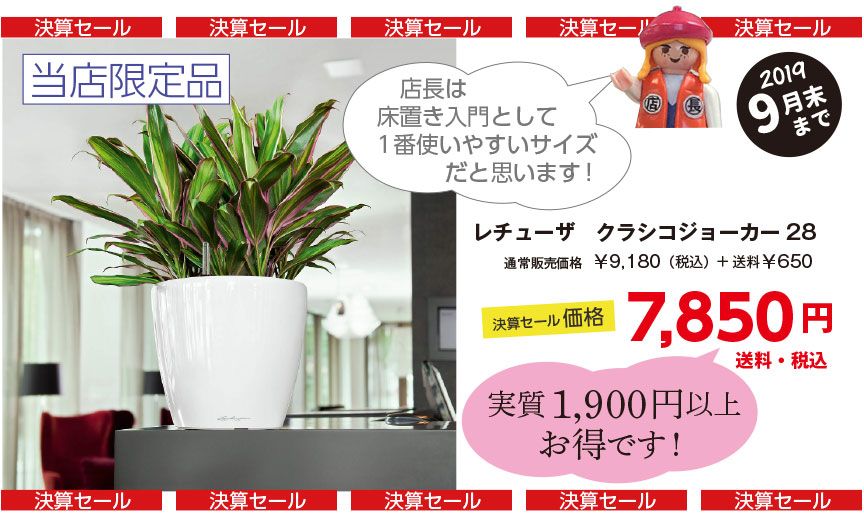 決算セール