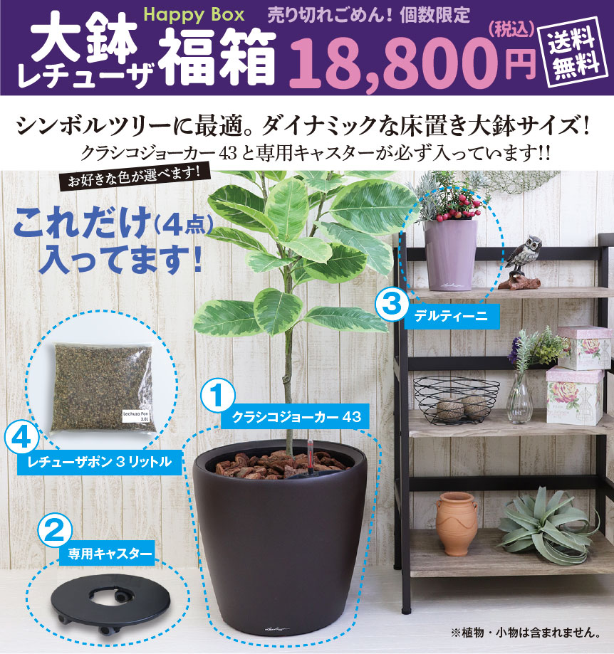 レチューザ【クラシコジョーカー43】福袋