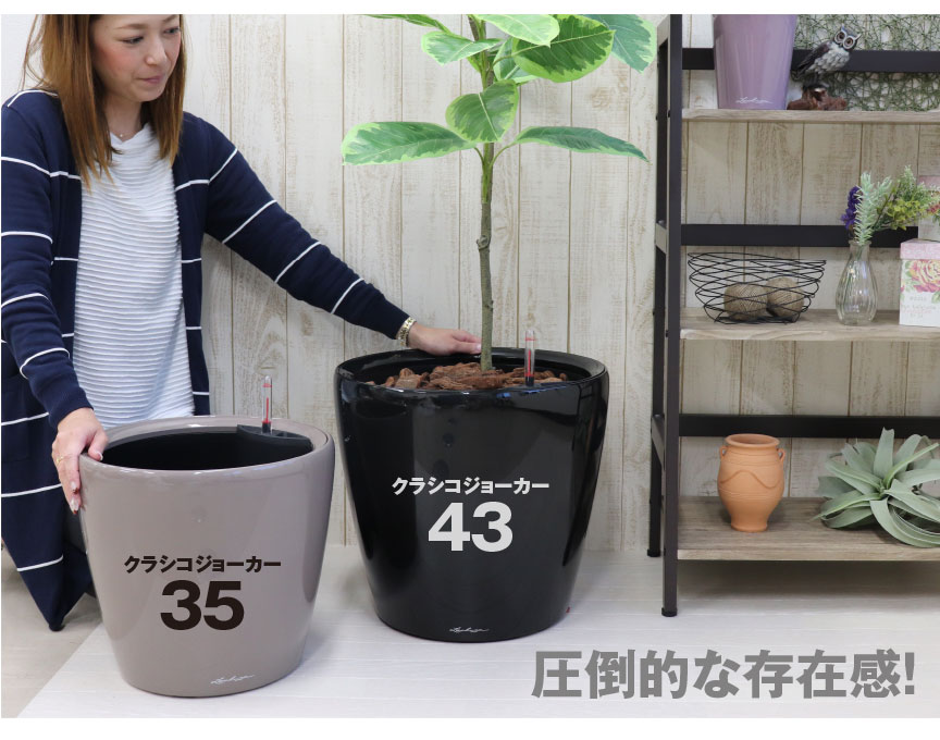 レチューザ【クラシコジョーカー43】福袋