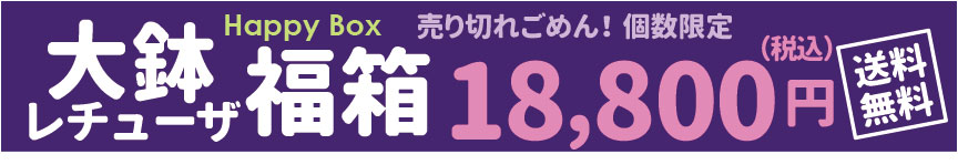 レチューザセール 数量限定