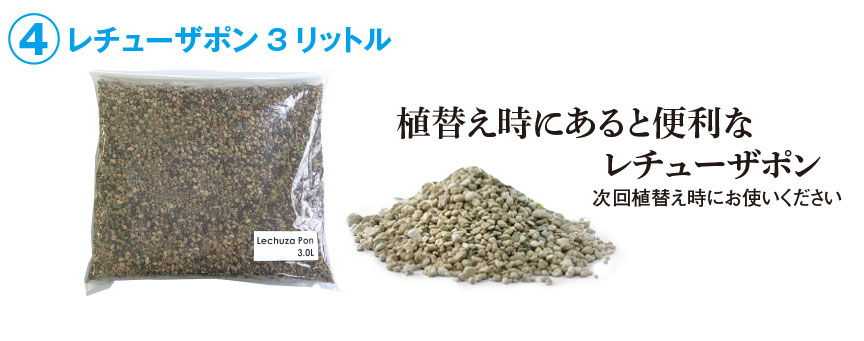 レチューザ【デルティーニ】福袋