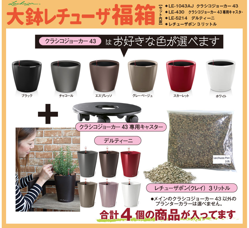 レチューザセール 数量限定