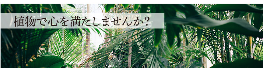植物で心を満たしませんか?
