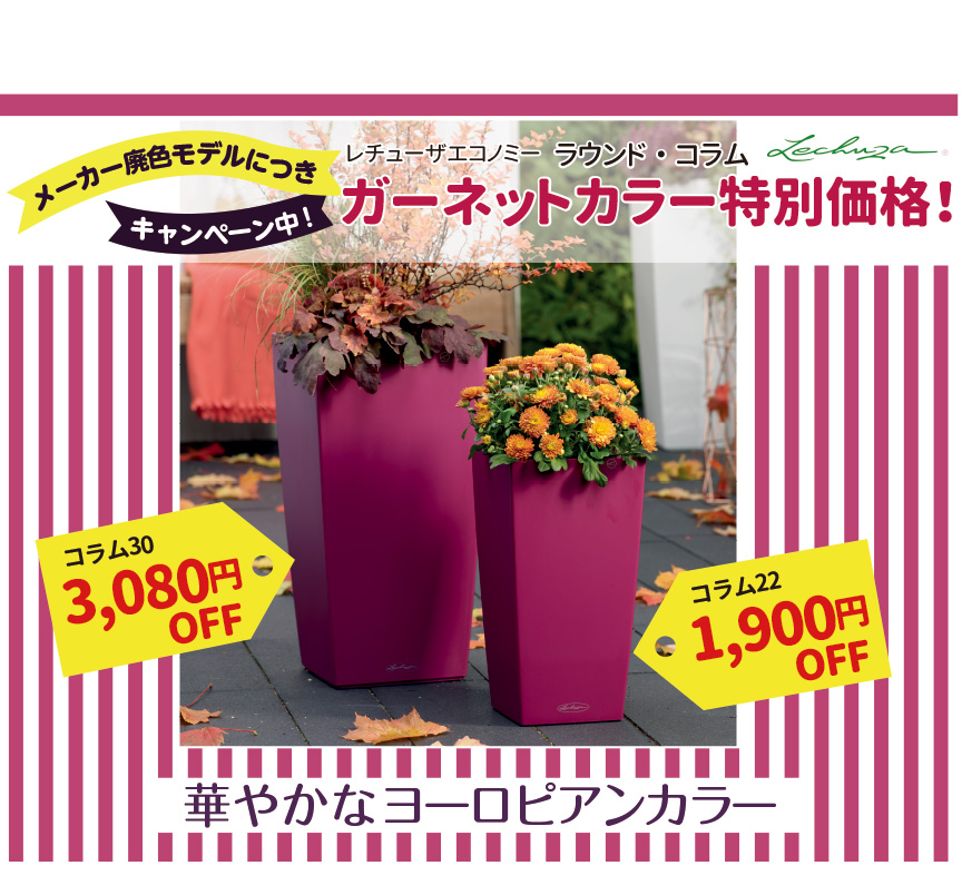 コロナ疲れに癒しを!応援セール
