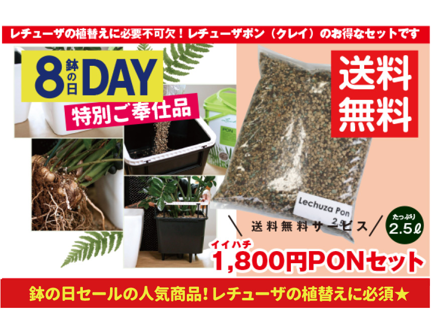 送料込み1800円ぽっきりPON