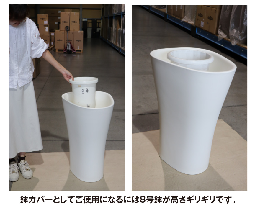 ボンドム【ボーンズS】