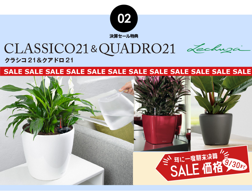 レチューザクラシコ21とクアドロ21セール品