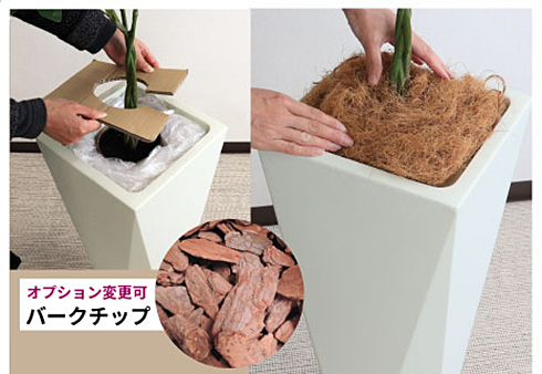 右画像