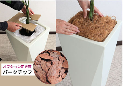 右画像