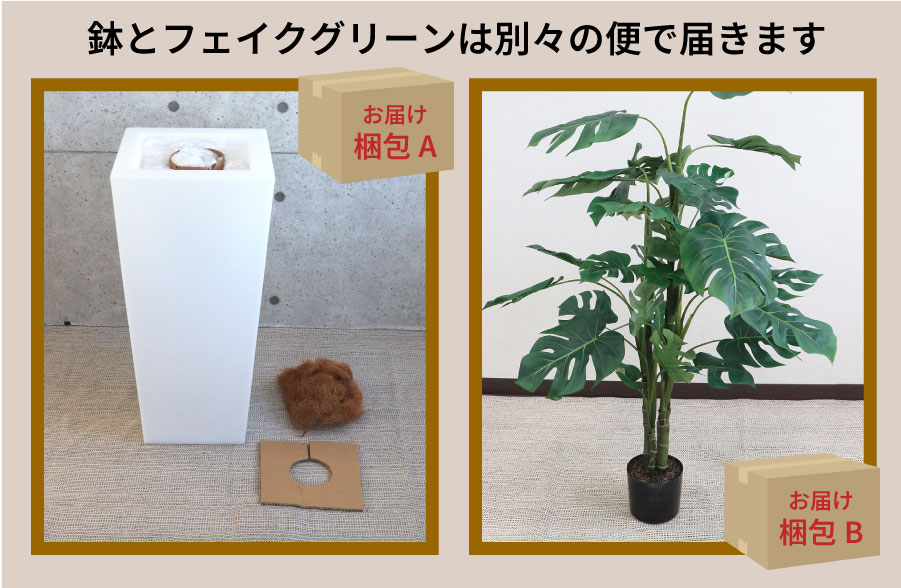 キアム35ライト付き+モンステラ