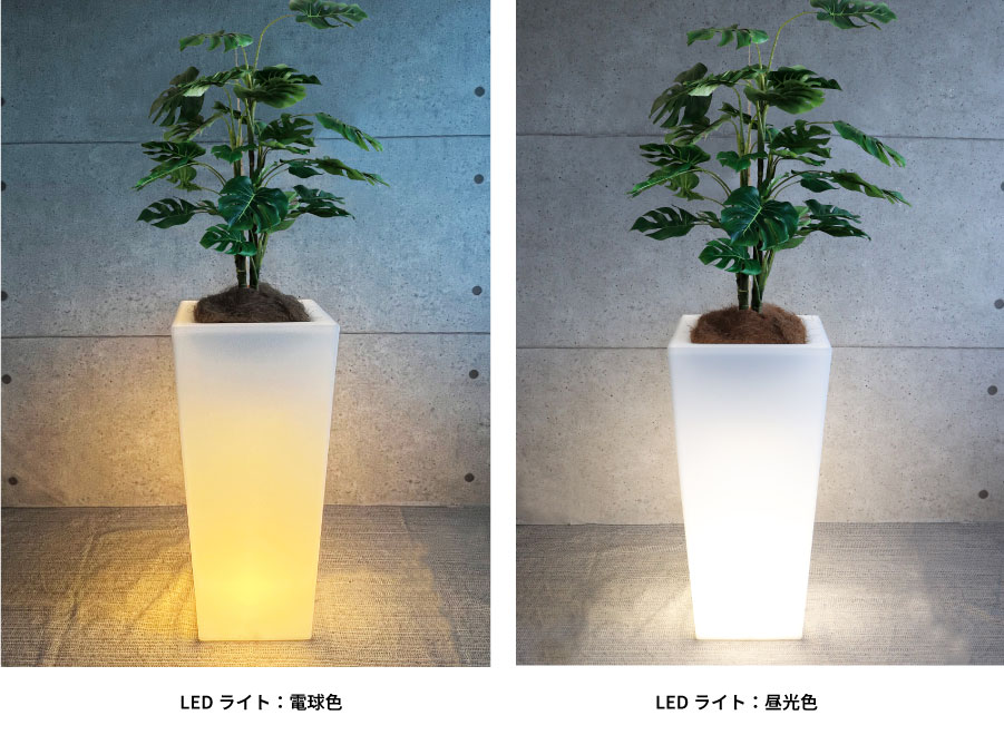 キアム35ライト付きカラーバリエーション