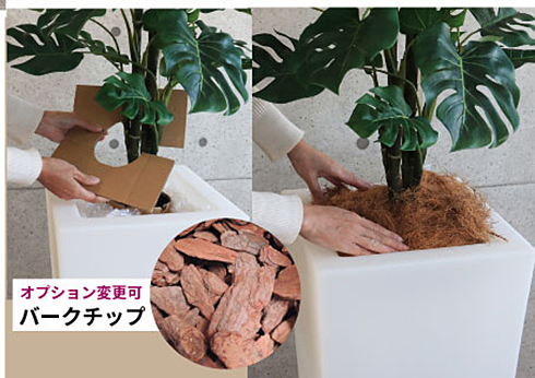 右画像