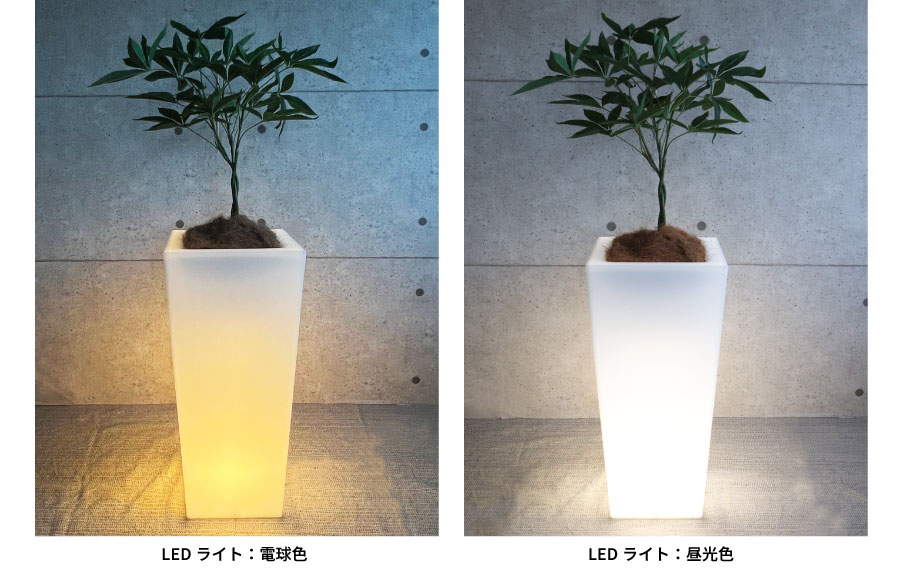 キアム35ライト付きカラーバリエーション