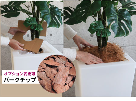 右画像