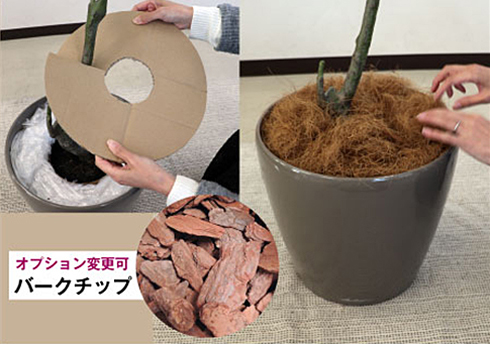 右画像