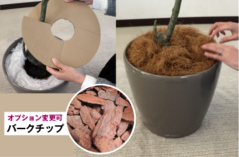 右画像