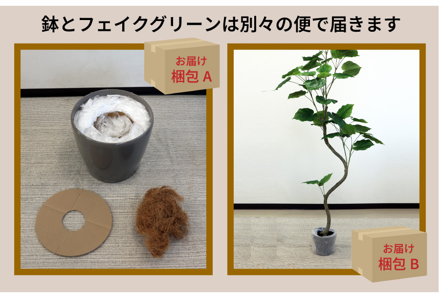クラシコ35とウンベラータ