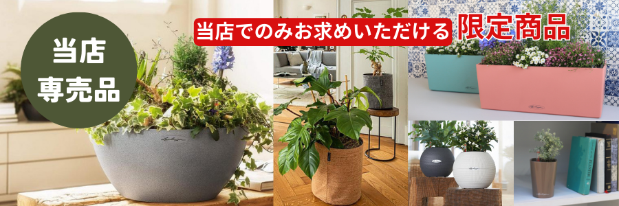 プランタープロショップだけの限定専売品