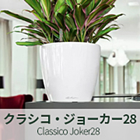 クラシコ・ジョーカー28