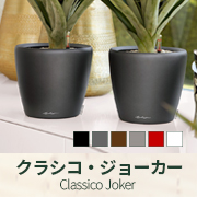 クラシコジョーカー