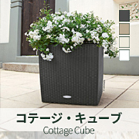コテージキューブ