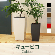キュービコ