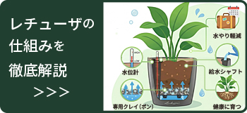 WPレチューザ徹底解説