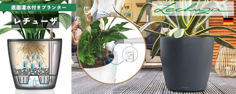 ドイツ生まれの底面灌水付きオールインワンプランター輸入植木鉢