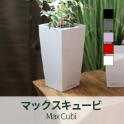 マックスキュービ