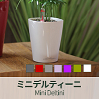 ミニデルティーニ