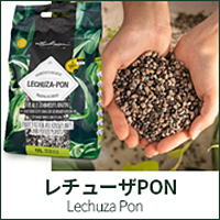 レチューザPON