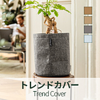 トレンドカバー