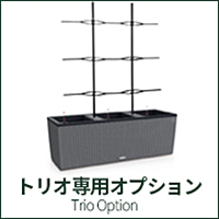 トリオ専用オプション