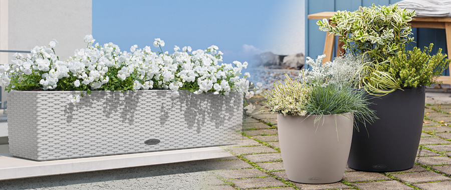 レチューザエコノミー