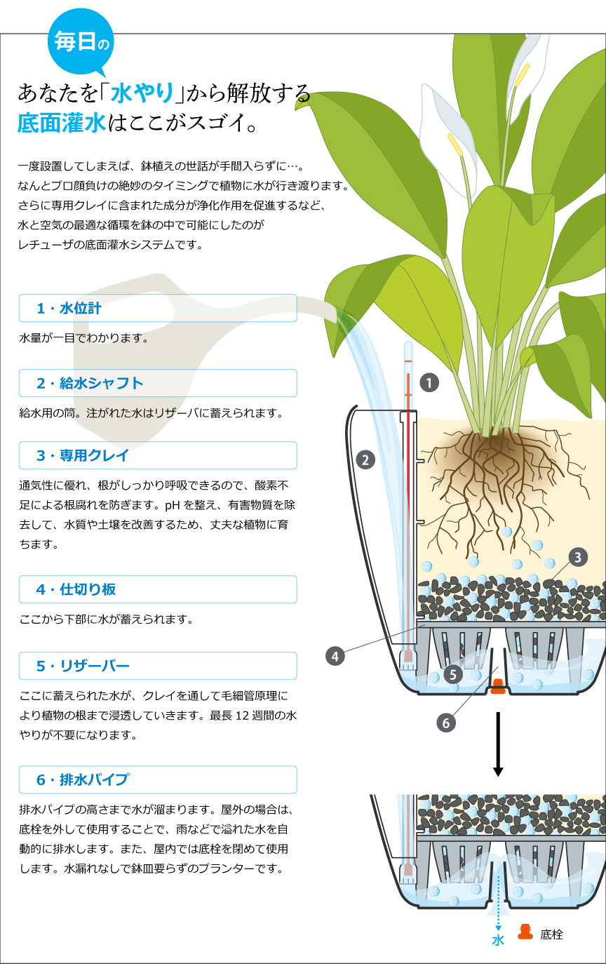 底面灌水はここがスゴイ。