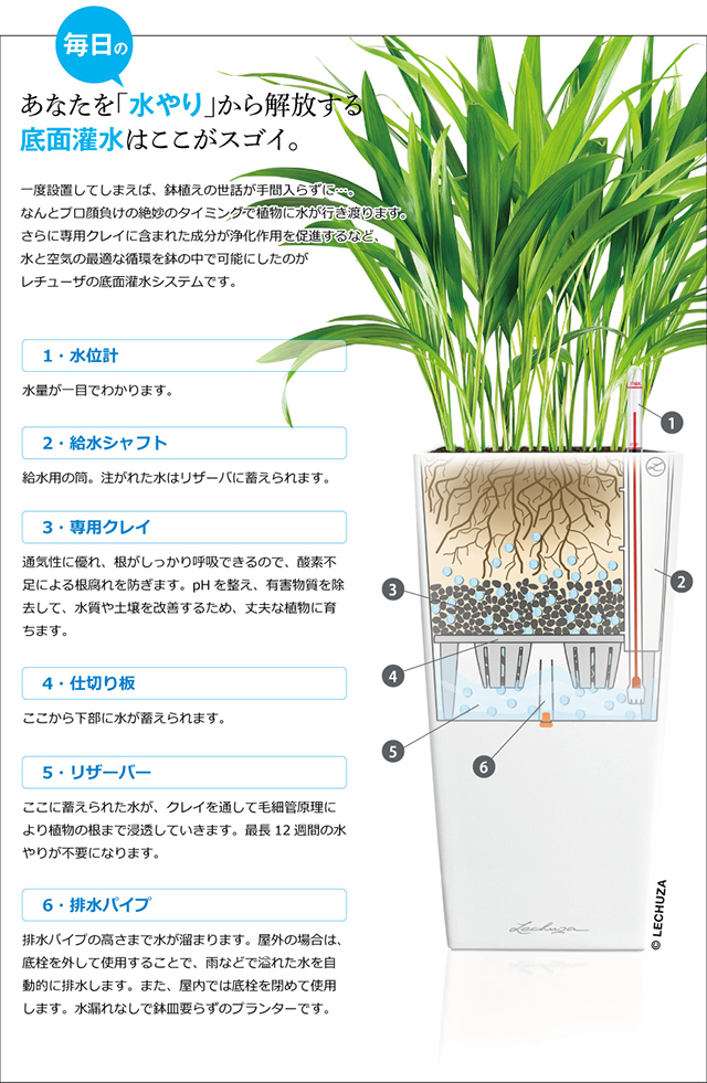 底面灌水はここがスゴイ。