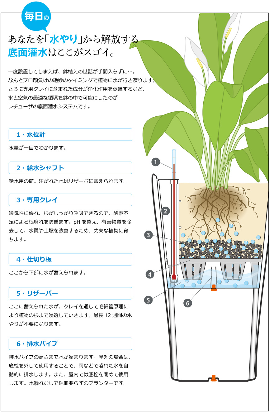 底面灌水はここがスゴイ。