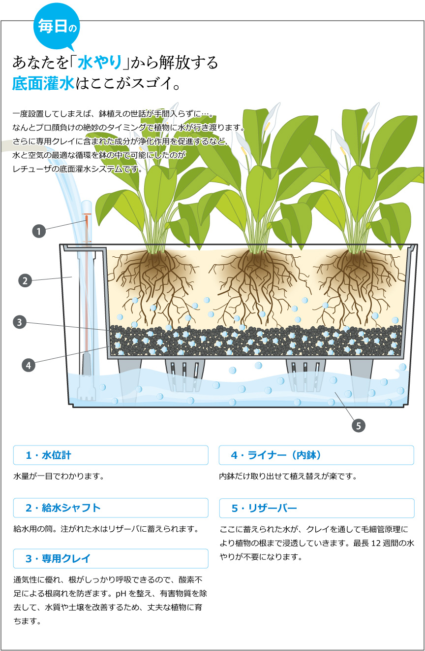 底面灌水はここがスゴイ。