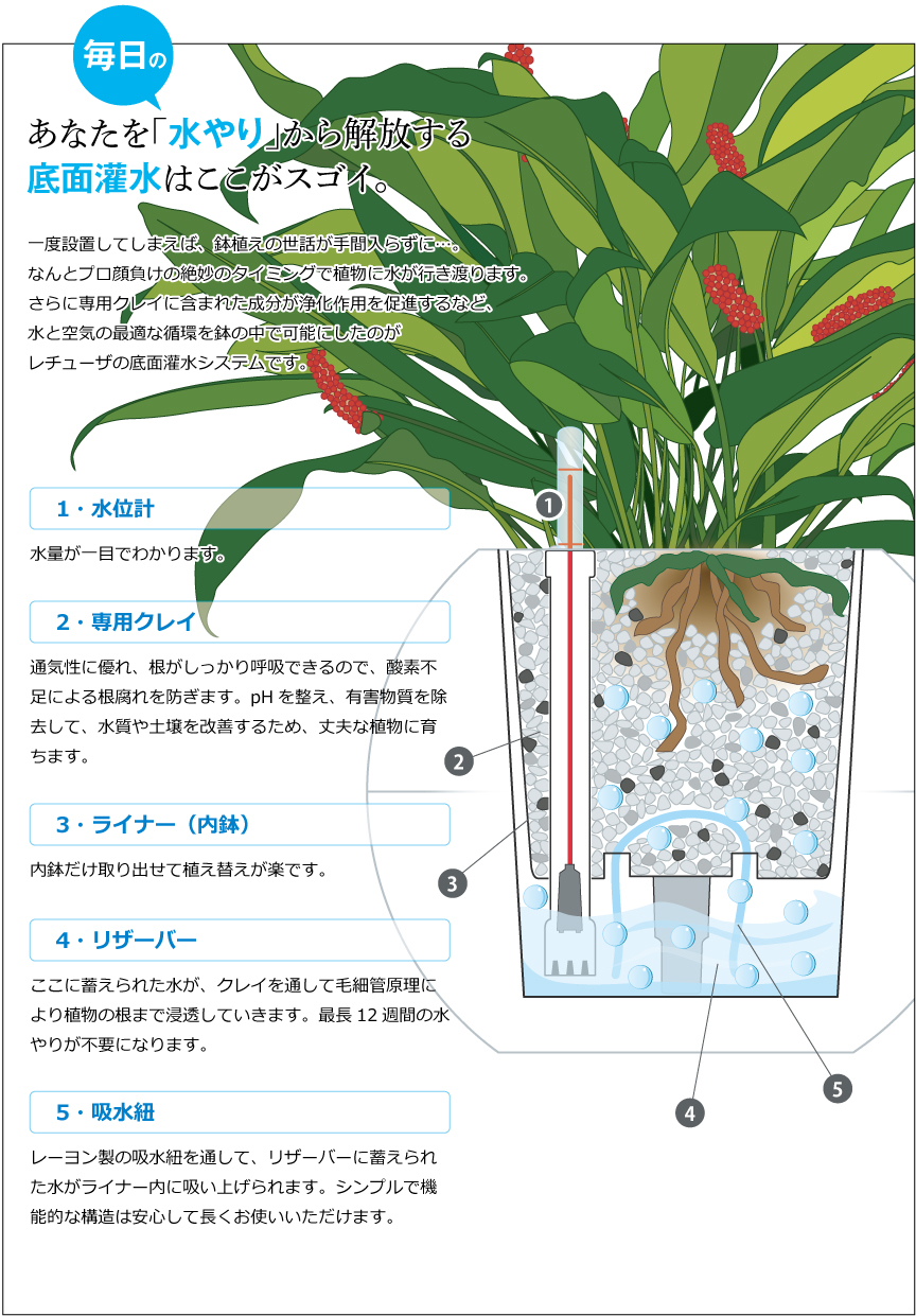 底面灌水はここがスゴイ。