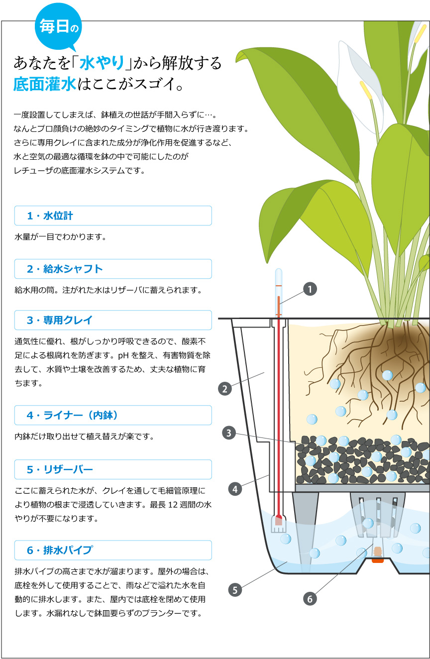 底面灌水はここがスゴイ。