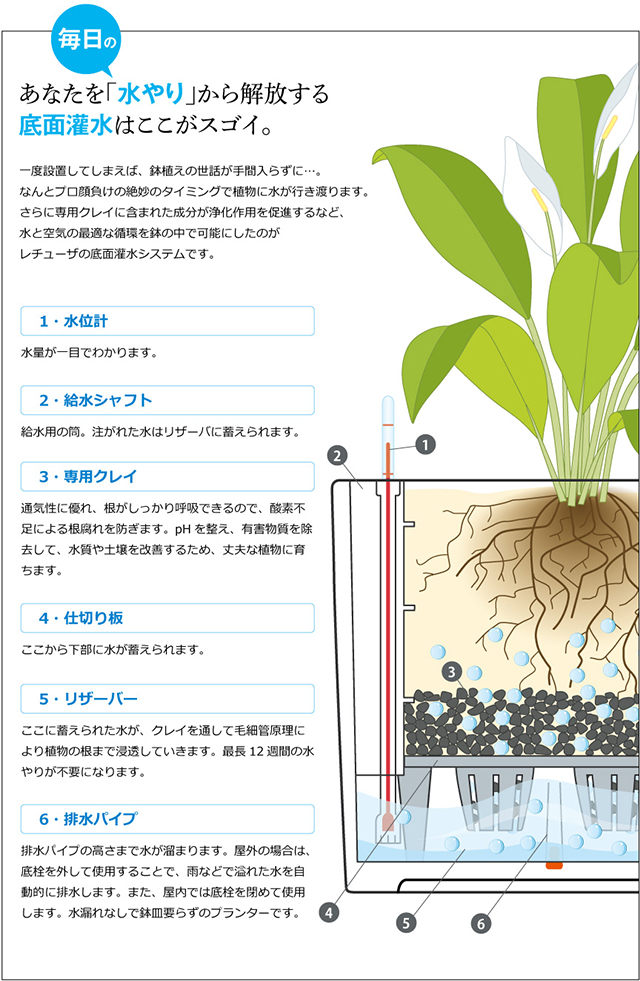 底面灌水はここがスゴイ。