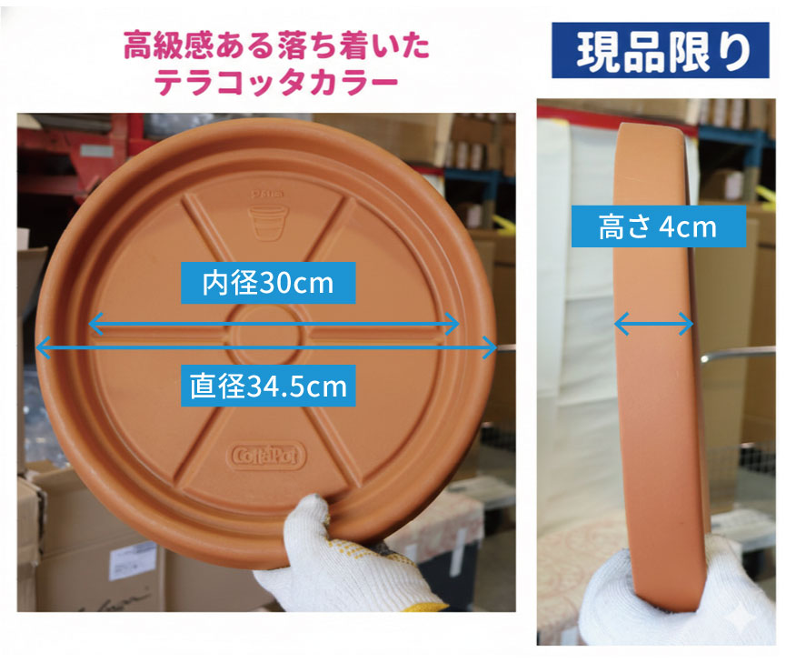 大型、ソーサー、水受け皿アウトレットセール