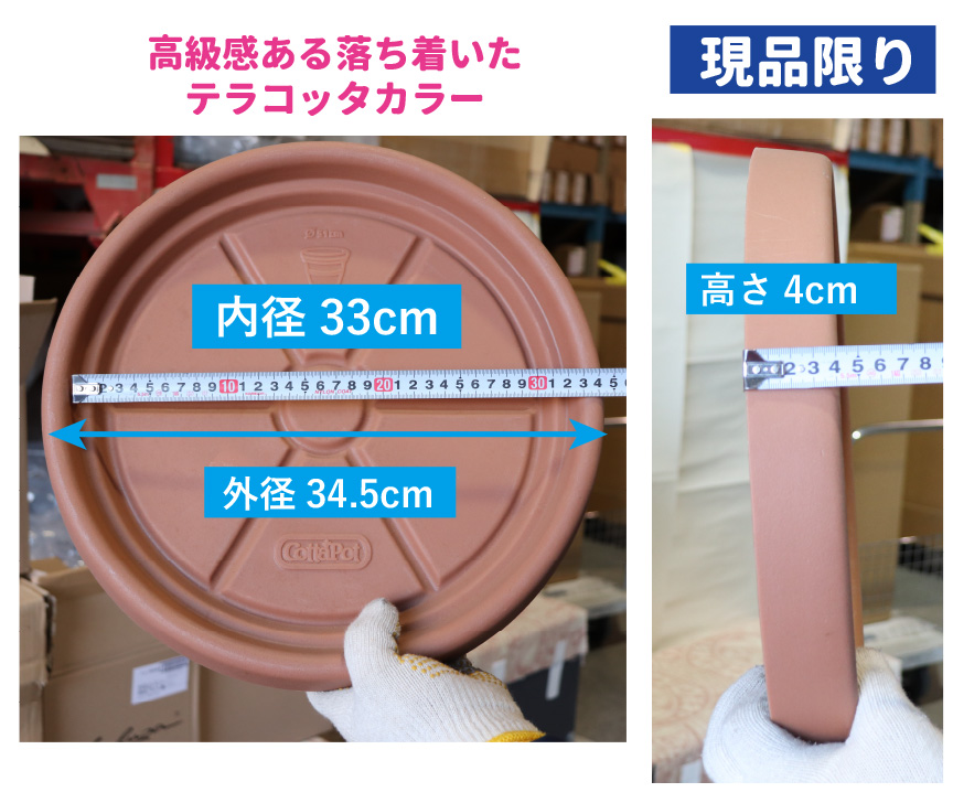 大型、ソーサー、水受け皿アウトレットセール