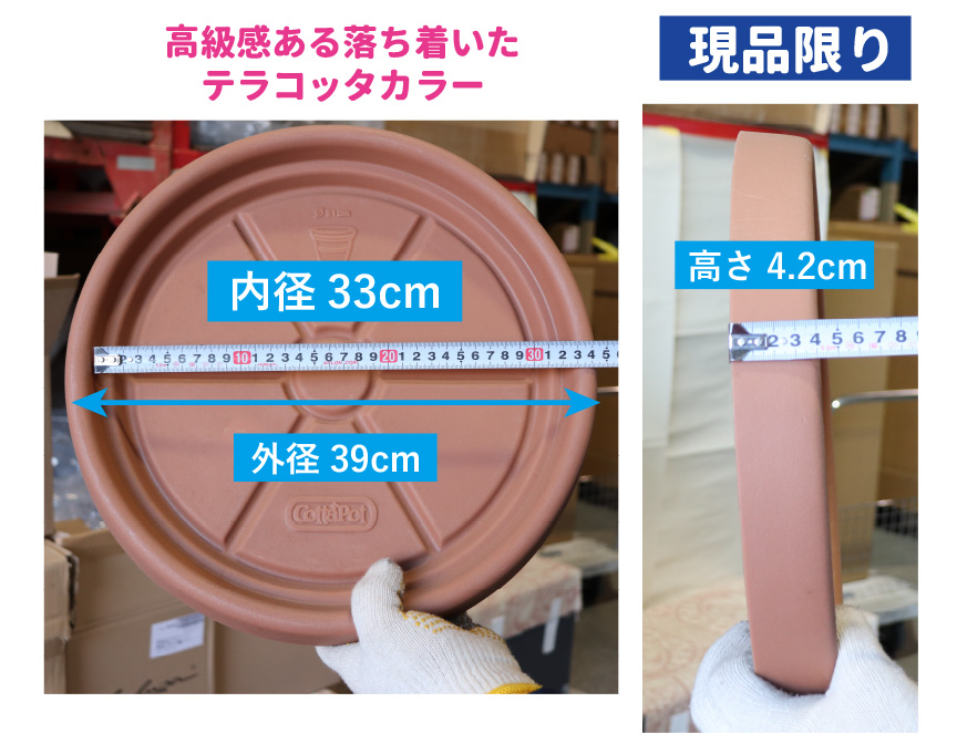 大型、ソーサー、水受け皿アウトレットセール