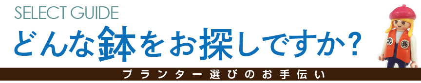 どんな鉢をお探しですか？