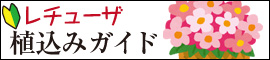 レチューザ・植込みガイド