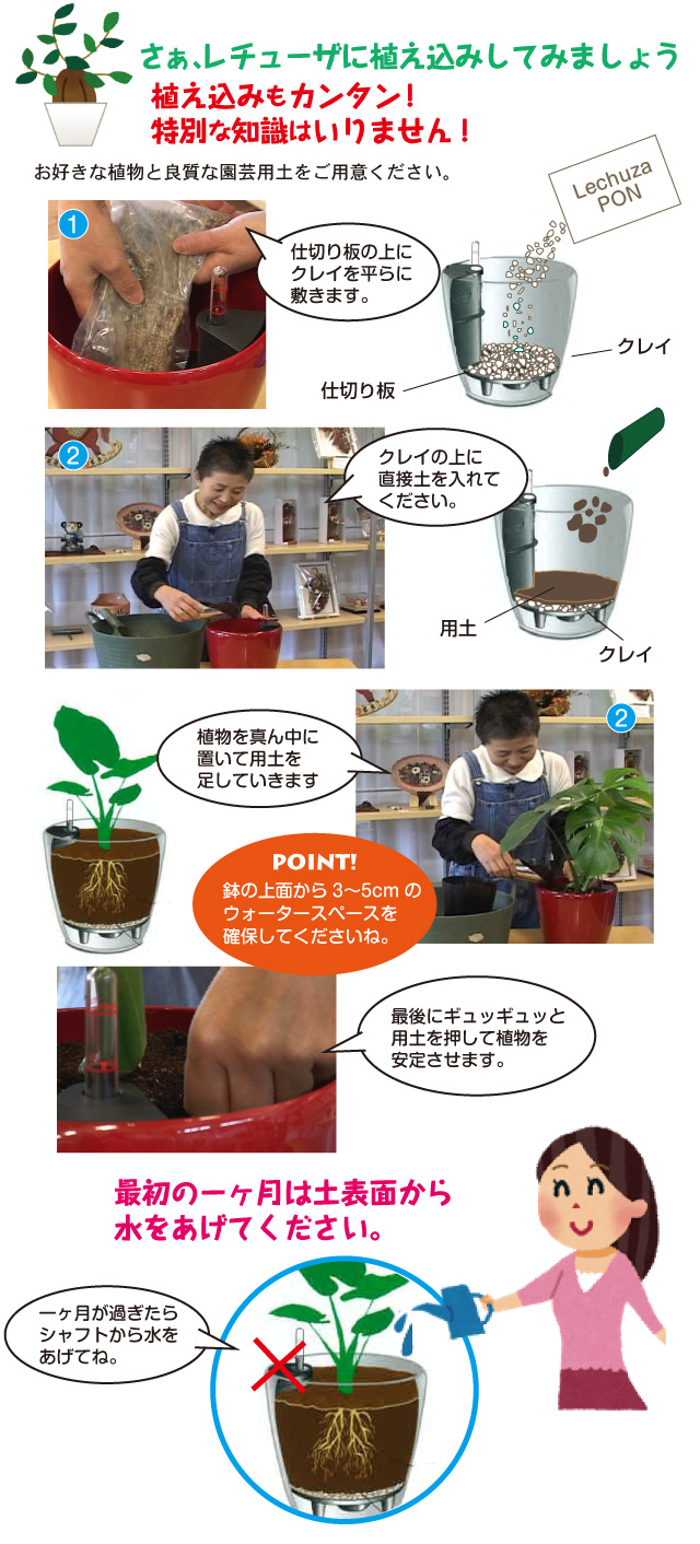 レチューザ植え込み情報